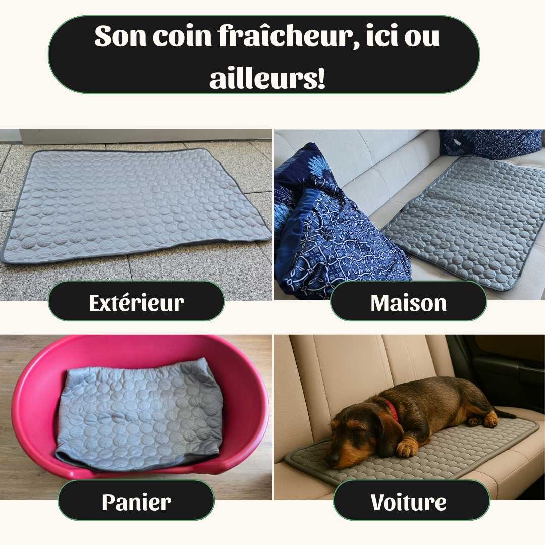 LouliPad